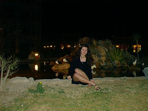 PIC00010