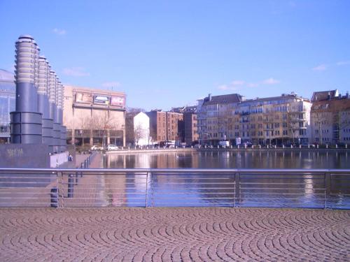 image 20 (1)