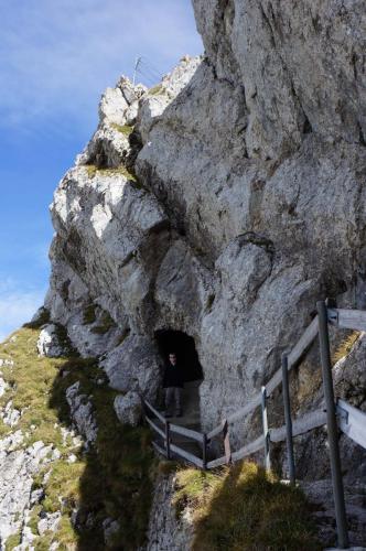 image 14