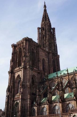 image 14