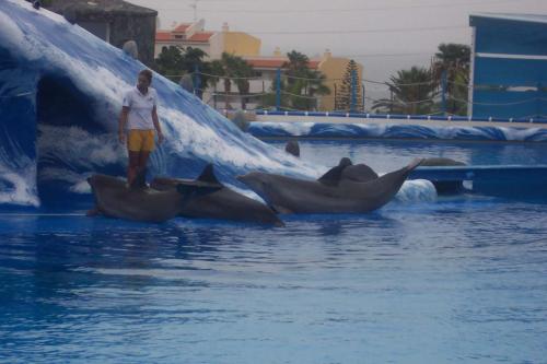 Picture-286