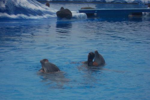 Picture-374