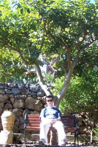Picture-529