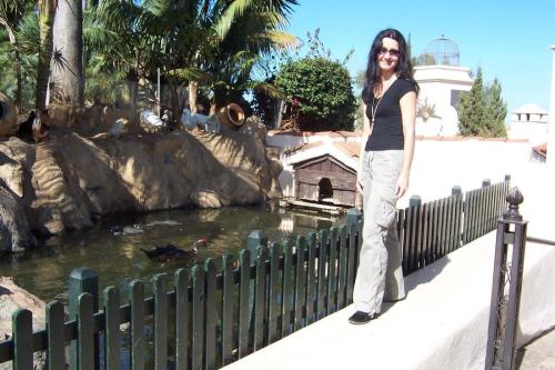 Picture-532