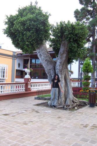 Picture-563