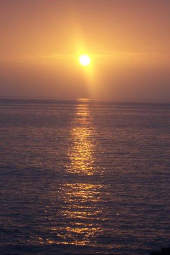 image 35