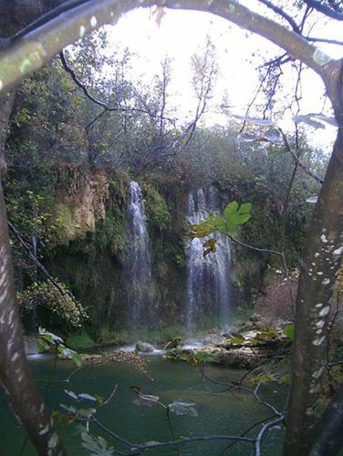 image 0 (1) (1) (1)