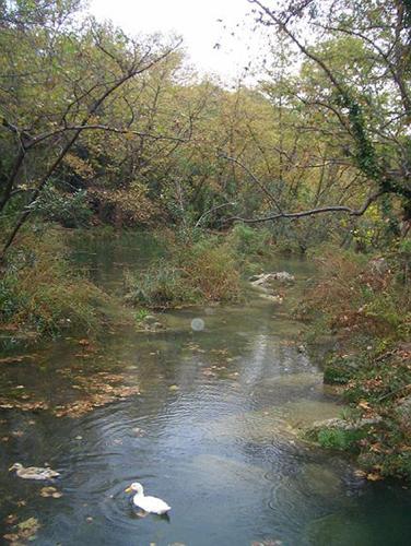 image 3 (1) (1) (1)