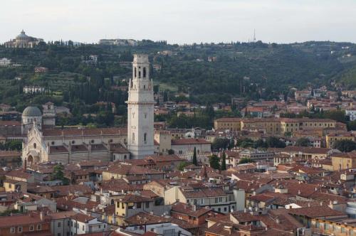image 9 (1)