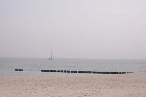image 7 (1)